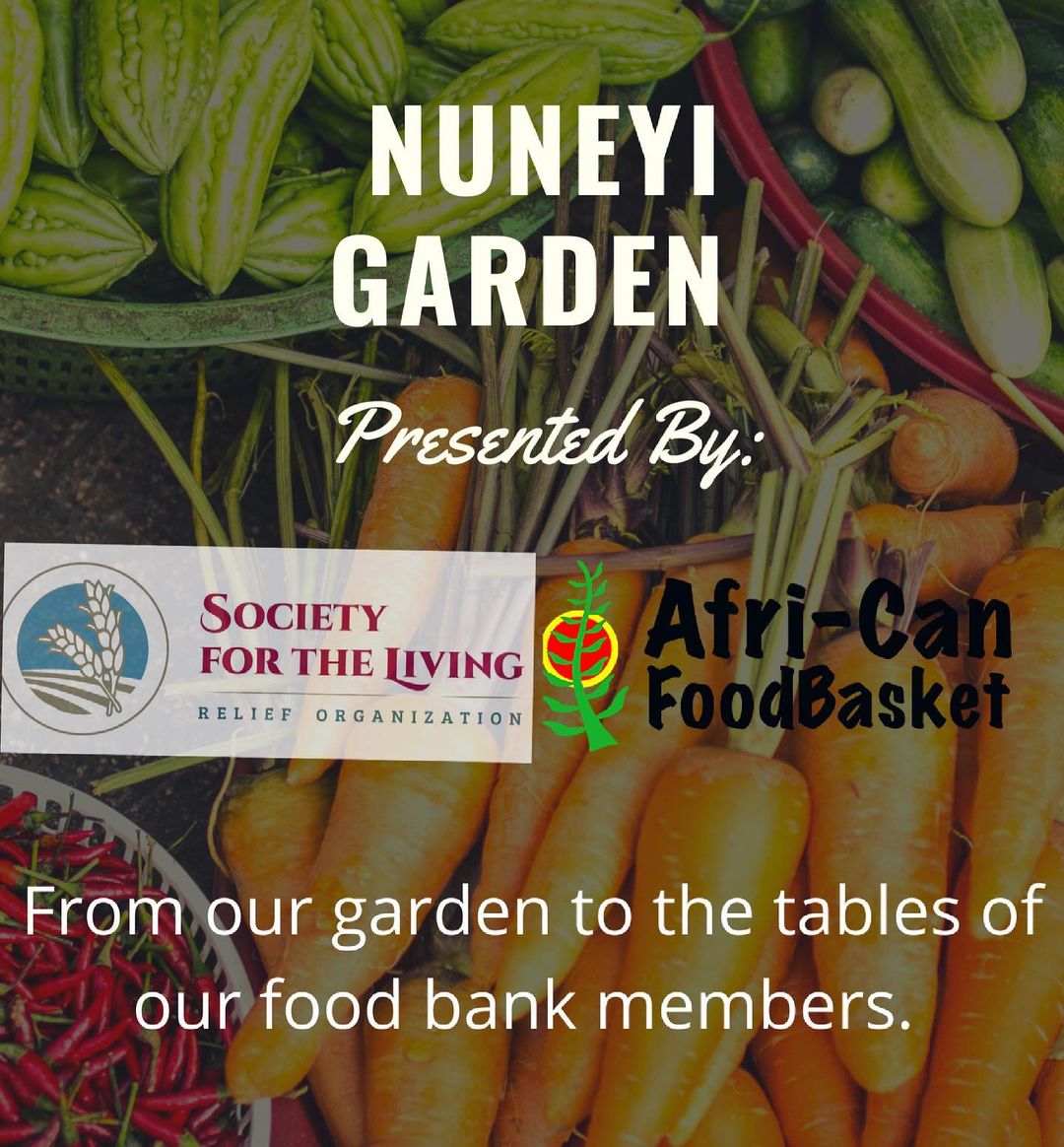NuNeYi Garden in collaboration with @africanfoodbskt